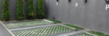 環境方針_駐車場の緑化